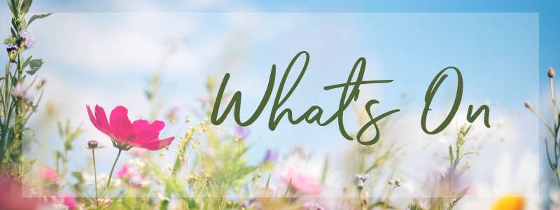 what's on in the Nia community